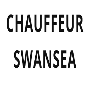 Chauffeur Swansea Logo