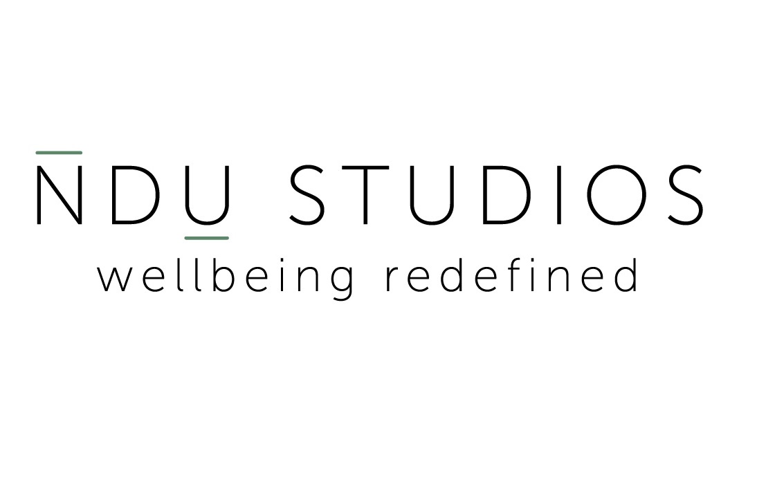 NDU Studios Logo