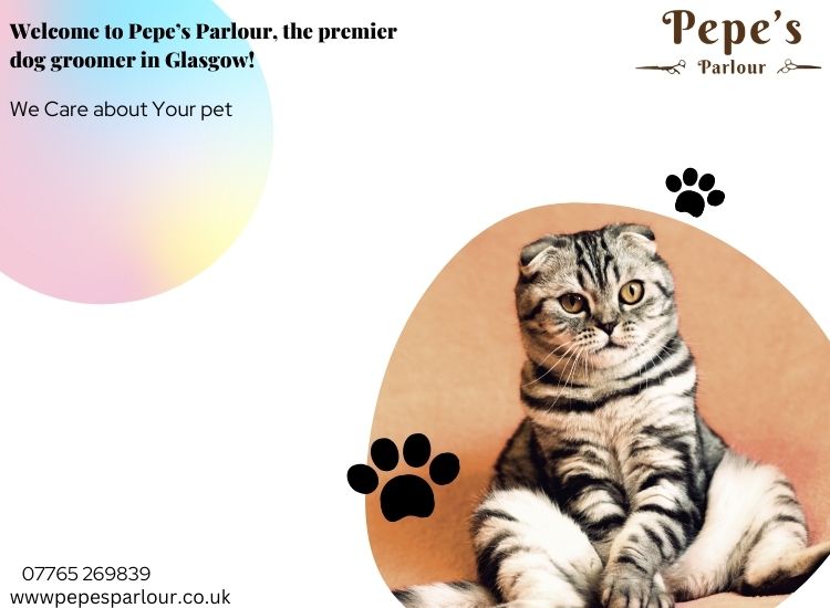 Pepe's Parlour logo