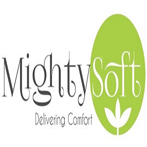 MightySoft logo