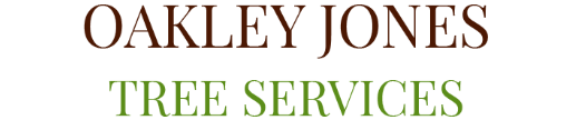Tree Surgeon Faversham Logo