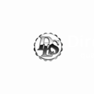 Direct Limo Hire Service Logo