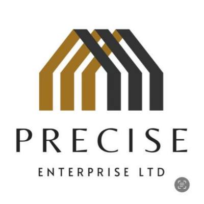 Precise Enterprise LTD Logo