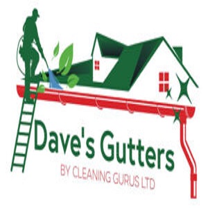 Dave's Gutters Logo