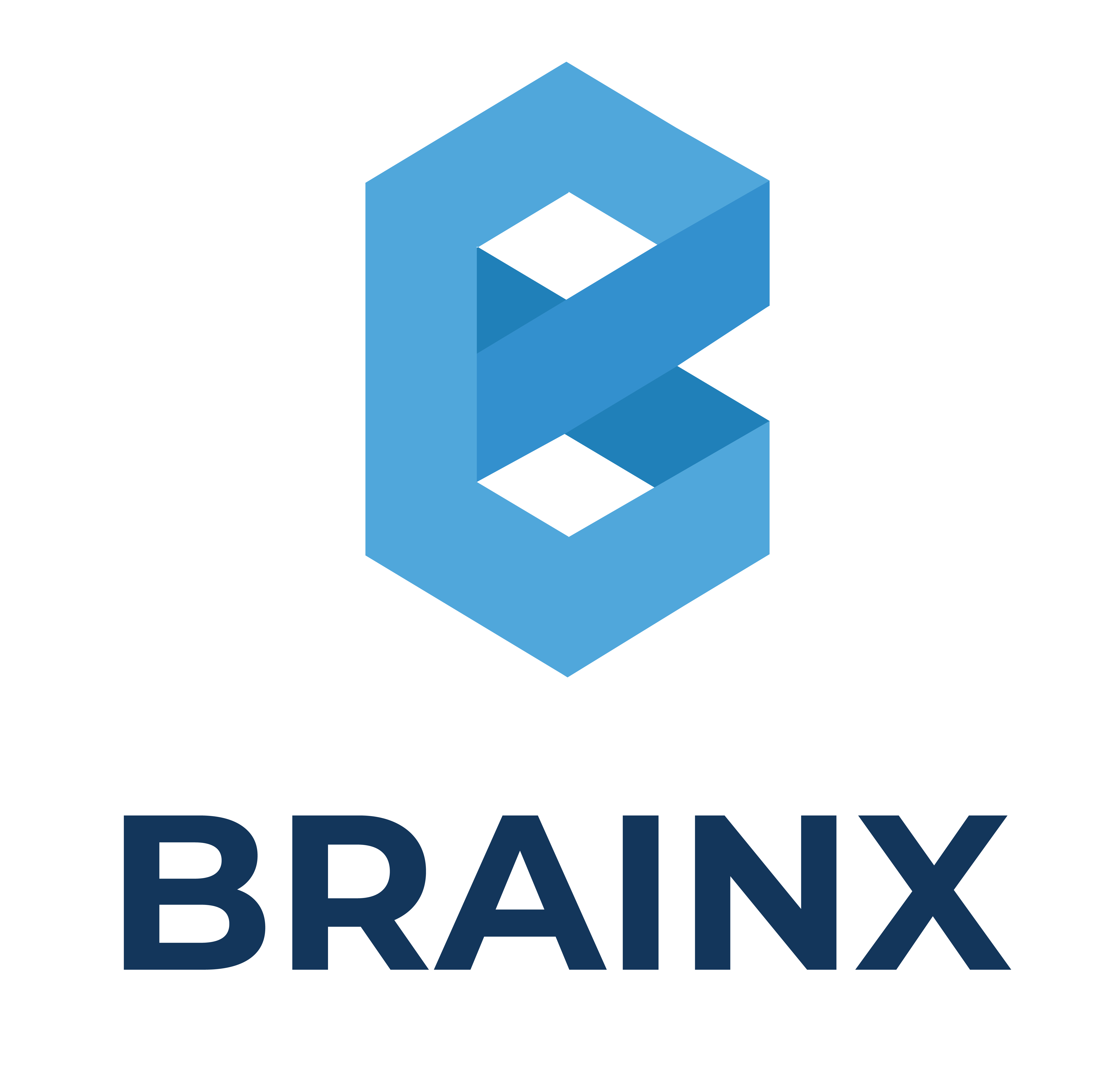 BrainX Technologies Logo