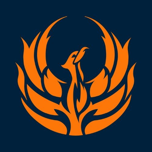 Fenix Insight Logo