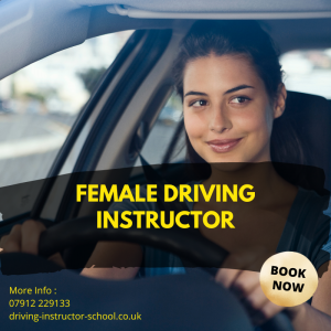 nelson driving school Logo