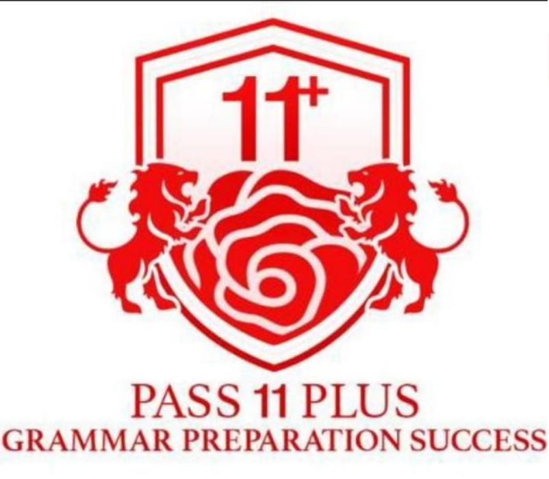 Pass 11 Plus Grammar Preparation Success logo