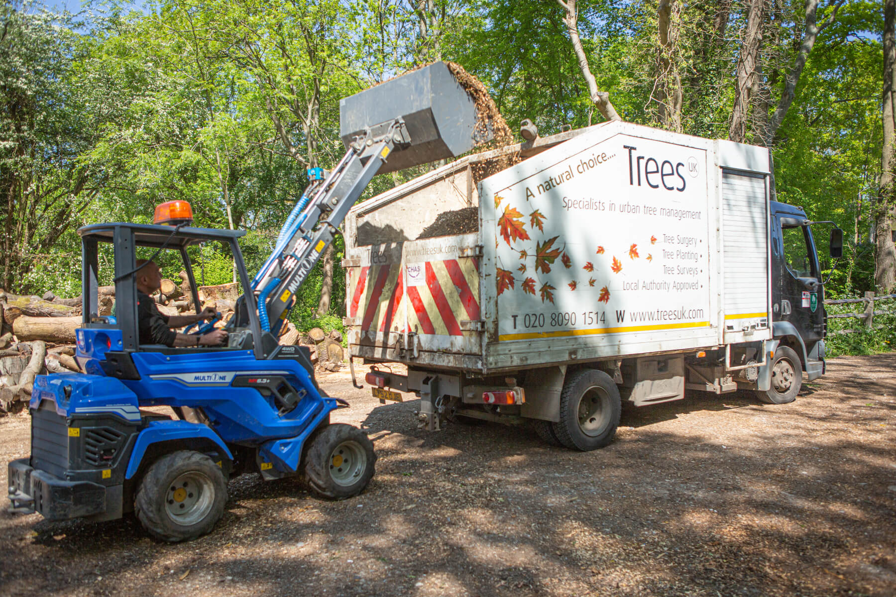 TreesUK logo