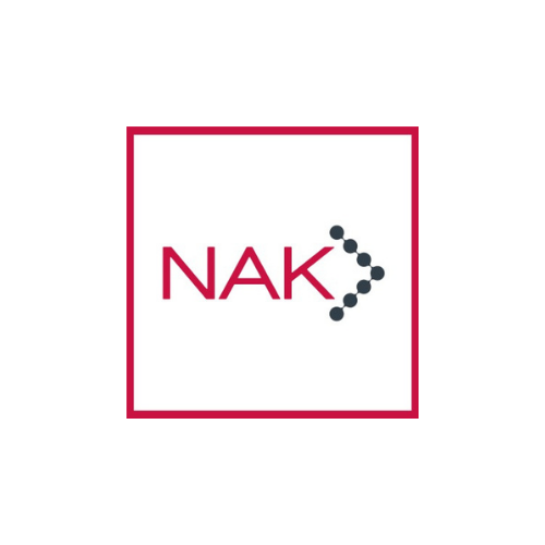 NAK Consulting Services Limited Logo
