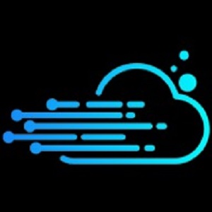 Top Dynamics Partners Logo