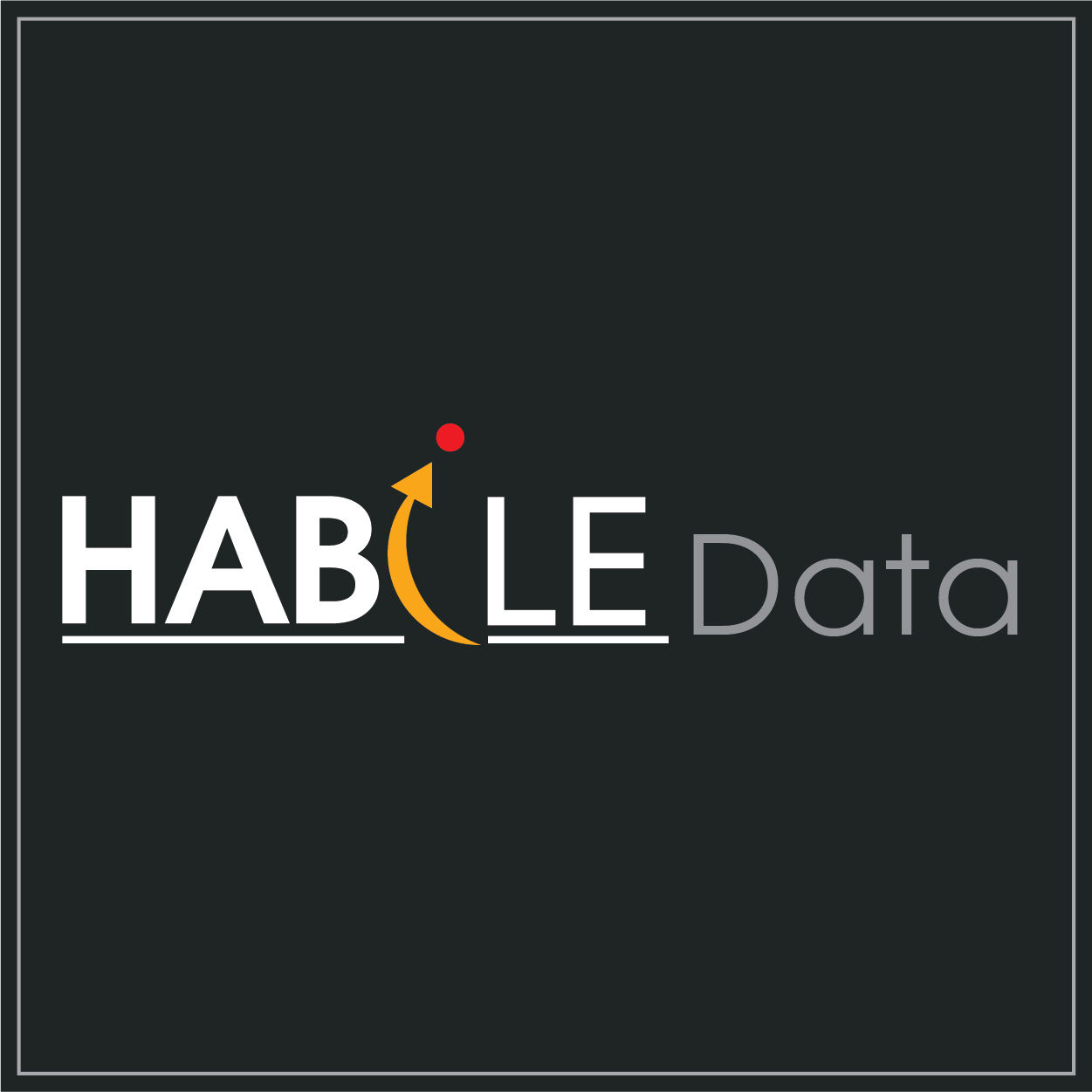 HabileData logo