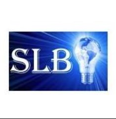 Saving Light Bulbs logo